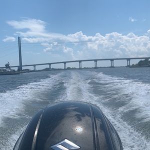 Meet your Posher, Anne